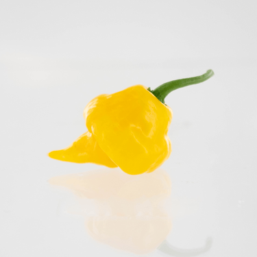 Trinidad Perfume Pepper Seeds - The Pepper Pantry (Formerly Marie Sharp's)